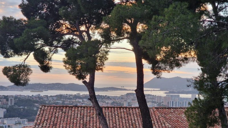 Antiquaire à Toulon et dans le Var