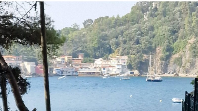 Antiquaire au Cap-Brun (Toulon)